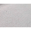 Kép 2/4 - Natúr alapon fehér indás vízlepergető abrosz anyag
