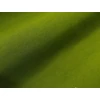 Kép 3/3 - Rustica Kiwi